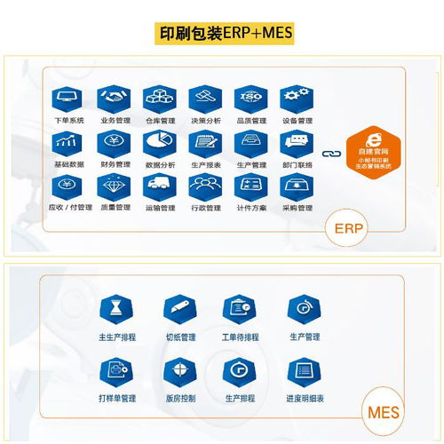 包装智能工厂 上海迅越与阜阳智能工厂的软件开发创新实践
